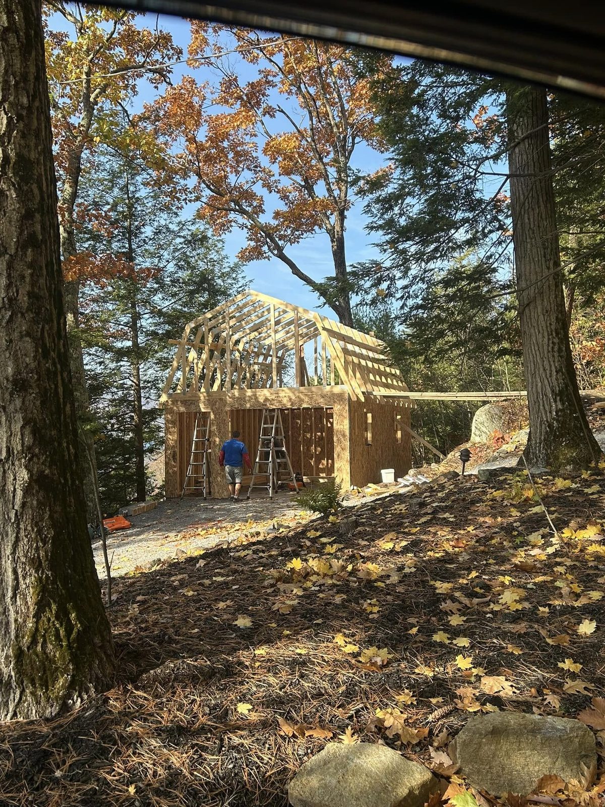New timber-framed barn structure under construction in fall